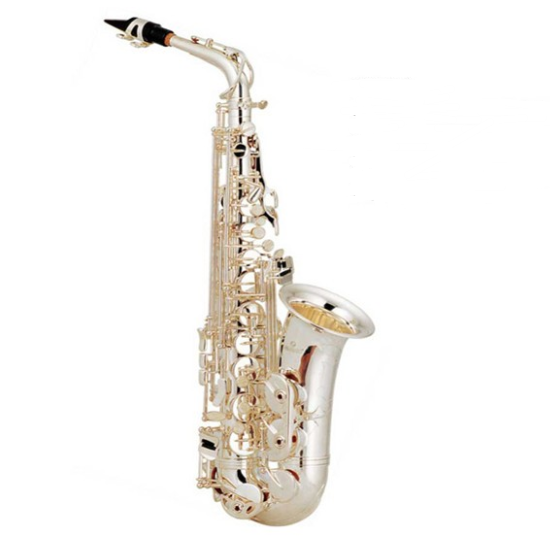 Brass Instrument Cheap Silver Alto Saxophone 5