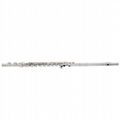 Ebony Head Joint Silver Plate Piccolo flute