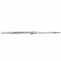 student woodwind instrument cheap flute for beginner