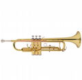 Golden Lacquered Yellow Brass Bb key Student Trumpet
