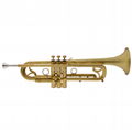 Golden Lacquered Yellow Brass Bb key Student Trumpet