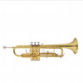 Golden Lacquered Yellow Brass Bb key Student Trumpet