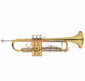 Golden Lacquered Yellow Brass Bb key Student Trumpet