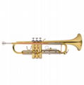 Golden Lacquered Yellow Brass Bb key Student Trumpet