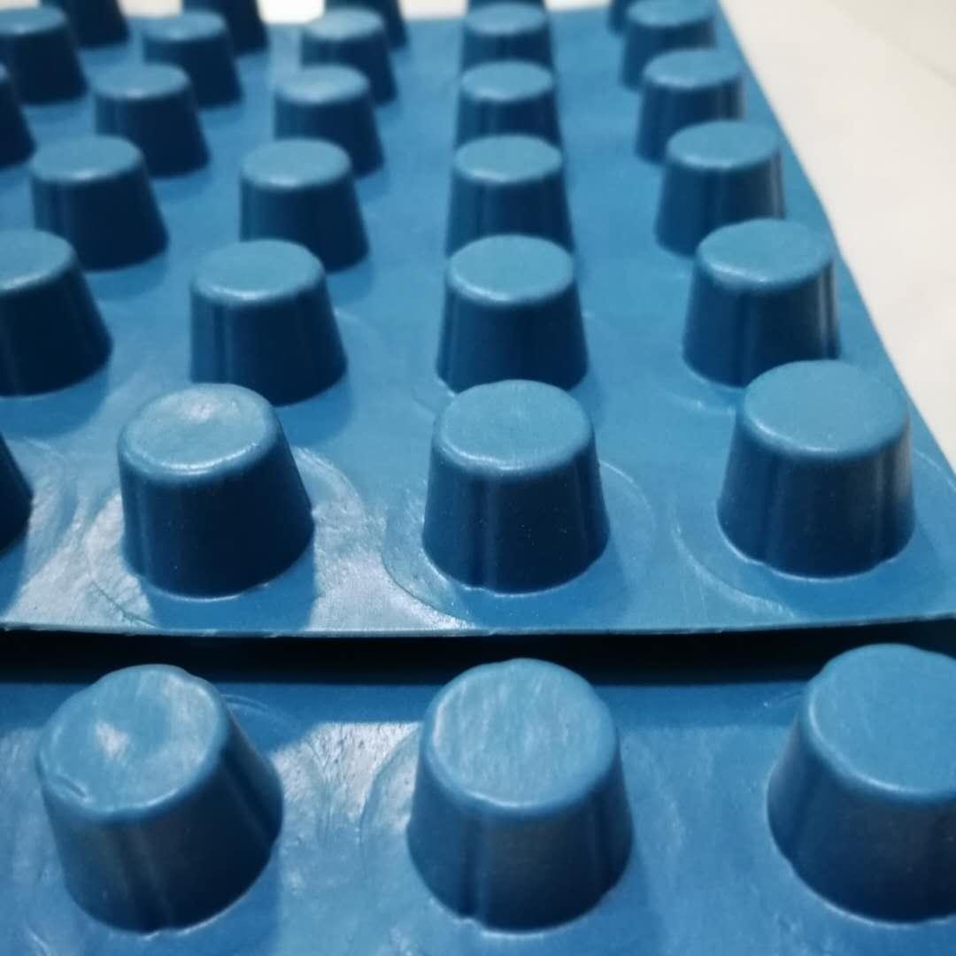 園林綠化黑色塑料排水板 3