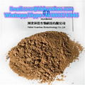 Hot Selling 1- (4-amino-3 5-dichlorophenyl) Ethanone CAS 37148-48-4 3