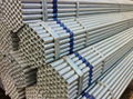 scaffold tube 1