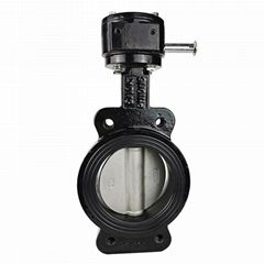 JIS Standard Semi-lug Marine Butterfly Valves