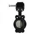 Marine V-Type Wafer Butterfly Valves