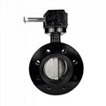 Gear Operated Ductile Iron U-type Flanged Marine Butterfly Valve