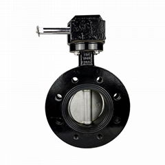 Gear Operated Ductile Iron U-type Flanged Marine Butterfly Valve