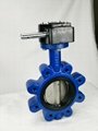 Gear Operated Ductile Iron Lug-type Butterfly Valve