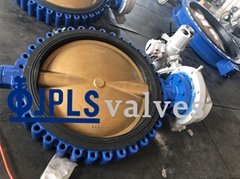 Electric Cast Iron Body Bronze Disc Lug butterfly valves