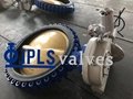 Electric Cast Iron Body Bronze Disc Lug butterfly valves 2