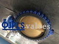 Electric Cast Iron Body Bronze Disc Lug butterfly valves 3