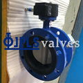 Gear Operated Nylon coated Disc Flanged