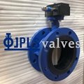 Gear Operated Nylon coated Disc Flanged Butterfly Valves 2