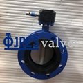 Gear Operated Nylon coated Disc Flanged Butterfly Valves 3