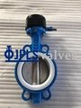 Gear Operated PTFE Seated Ductile Iron