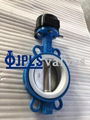 Gear Operated PTFE Seated Ductile Iron Body Wafer Butterfly Valves 2