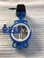 Gear Operated PTFE Seated Ductile Iron Body Wafer Butterfly Valves 3