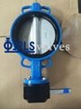 Gear Operated EPDM Seated Nylon Coated Disc Wafer Butterfly Valves 1