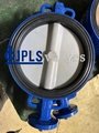 Gear Operated EPDM Seated Nylon Coated Disc Wafer Butterfly Valves 2