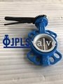 Ductile iron manual wafer butterfly valves