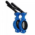 Lever Operated Resilient Seated Ductile Iron Wafer Butterfly Valves 1