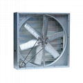  1380mm 50inch Industrial Ventilation Shutter Cooling Exhaust Fan 3