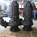 Hedun Submersible Slurry Pump 1