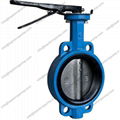 Valves for Slurry Pumps 1