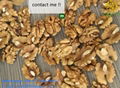 2020 New Crop Walnut Kernels 2