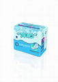 Sanitary Napkin