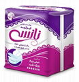 Sanitary Napkin