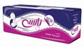 Sanitary Napkin