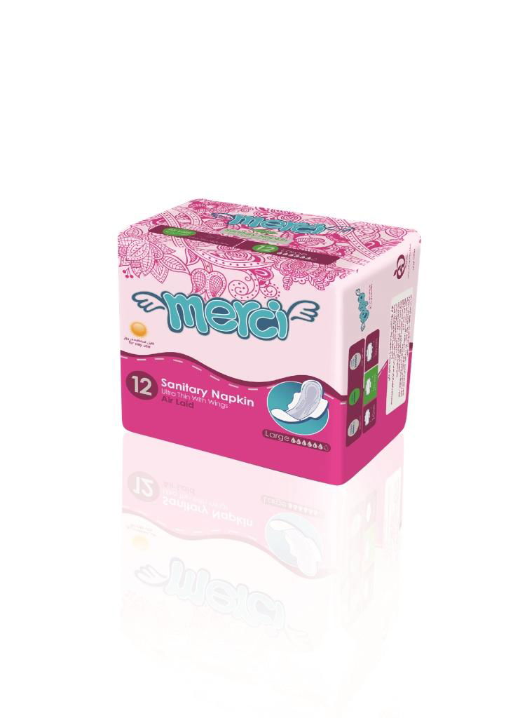 Sanitary Napkin 2