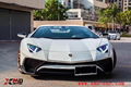 FRP Carbon fiber Large Body Kit for