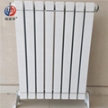 TLZY60-60/1600-