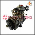 delphi diesel pump for sale-delphi fuel injection pump catalog supplier 2