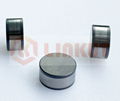 RNGN Solid CBN Inserts for Roll and Slurry Pump 2