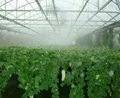 山东蔬菜大棚自动喷雾设备