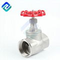 Precision casting internal thread globe valve 1