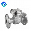 Stainless Steel 304 Filter Flange End SS