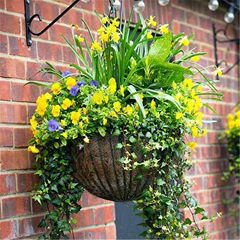 Hanging Basket