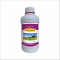 Veterinay Immune Supplement