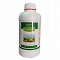 Poultry Intestinal Activator 1
