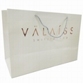 customized advertising paper bag 3