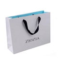 customized advertising paper bag 5