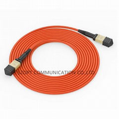 Fiber Optic MPO MTP Trunk Cable SM MM OM3 OM4 OM5